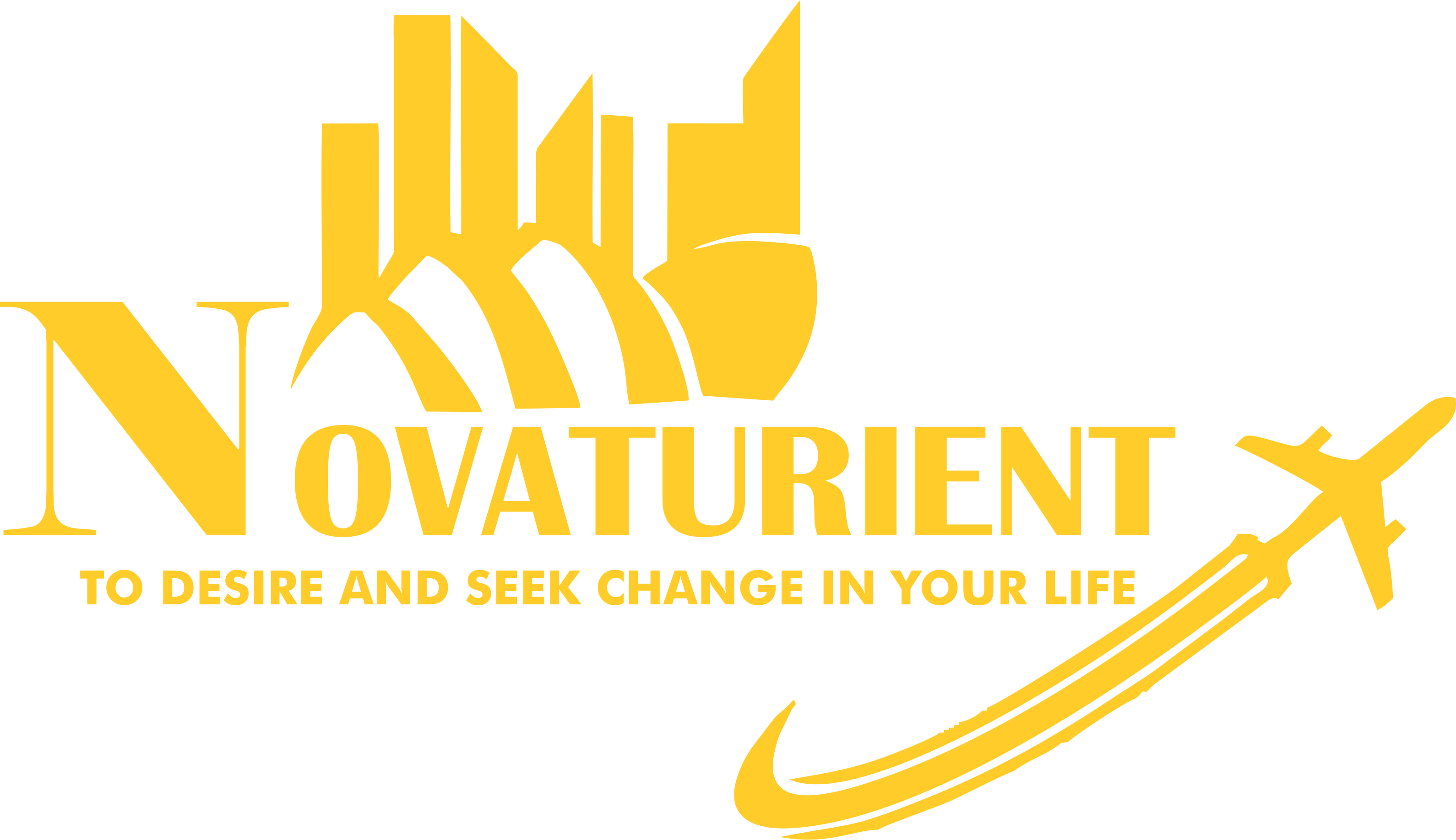 Novaturientvisas - Logo